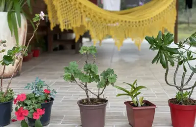 Jardim, varanda, plantas, flores, decoração verde
